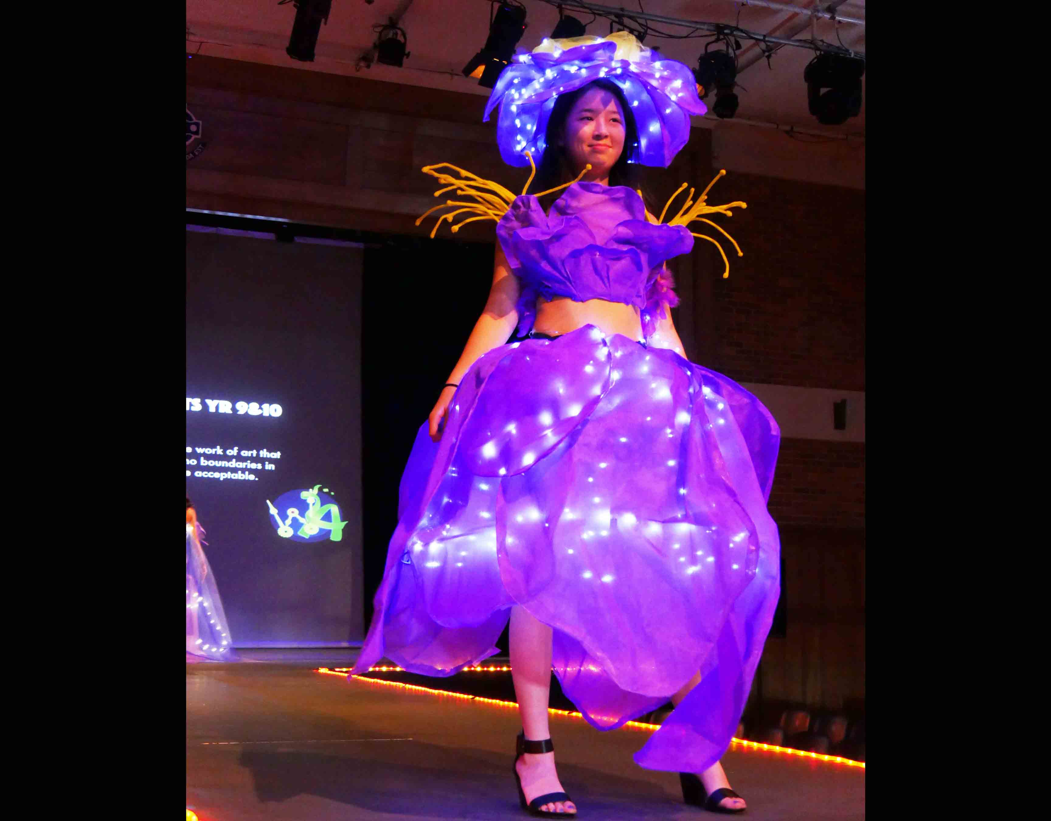 Wearable Arts Show 2017